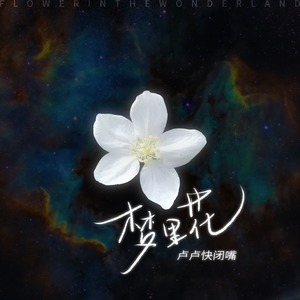 二次元校服少女戴口球反绑手脚
