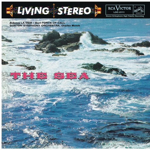 二次元校服少女戴口球反绑手脚
